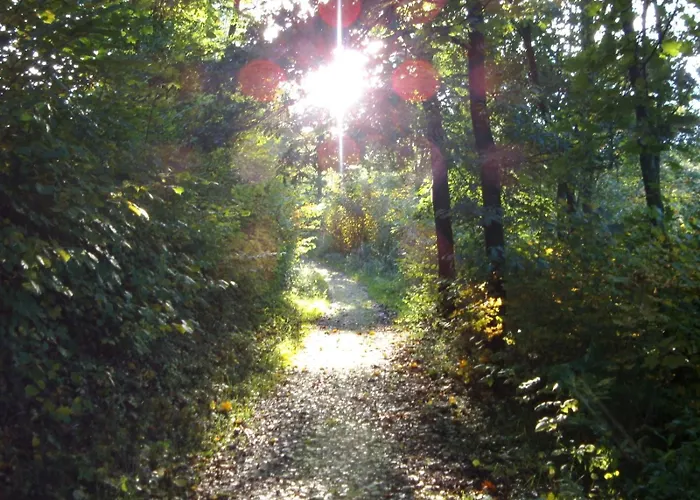 招待所 Haus Seidenweber 3*